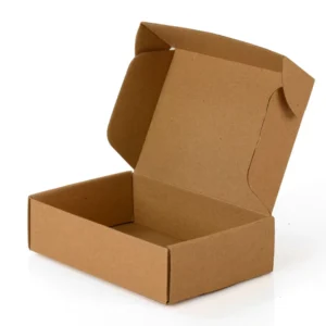 Corrugated Paper Shipping Mailer Gift Box