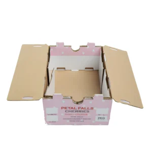 Custom 5-Ply Corrugated Paper Fresh Fruit Shipping Carton for Export
