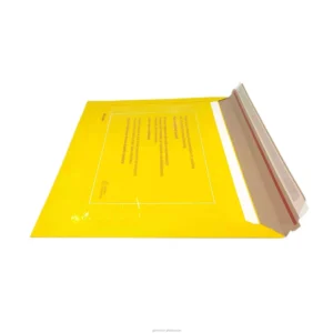 Custom Biodegradable Easy-Tear Strip Paper Mailer for Express Shipping