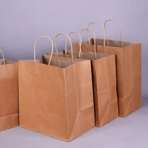 Custom Biodegradable Kraft Paper Bags with Twisted Paper Handles for Gifts, Milk Tea, Baking, Takeaway, and Clothing Packaging