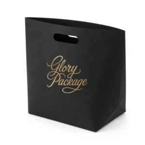 Custom Black Specialty Paper Shopping Bag with Die Cut Handle and Gold Foil Logo for Fashion Retail Gift Packaging