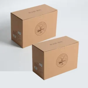 Custom Brown Corrugated Shipping Boxes with Sponge Liner and Matte Lamination