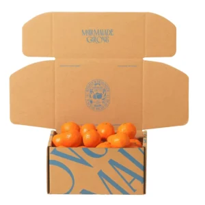 Custom Cardboard Paper Fruit Packaging Box