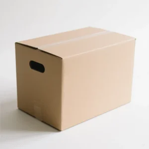 Custom Carton Box Packaging for E Commerce Shipping Heavy Duty Corrugated Paper Moving Box with Handle and Logo