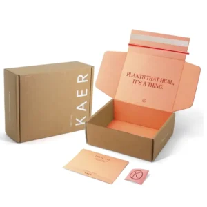 Custom Carton Self-Seal Adhesive Zipper Mailer Shipping Box Tear-Open Packaging