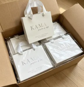 Custom Color Gift Paper Bags with Logo Printing for Cosmetic Packaging