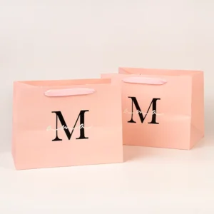 Custom Color-Printed Paper Shopping Gift Bag for Clothing Stores