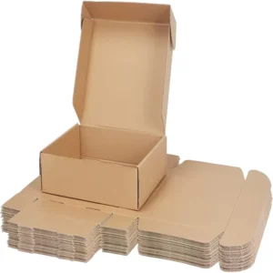 Custom Corrugated Cardboard Shipping Box for Mail Delivery