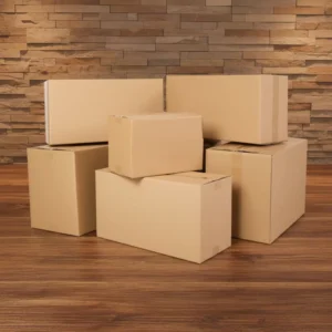 Custom Corrugated Cardboard Storage and Shipping Box for Moving