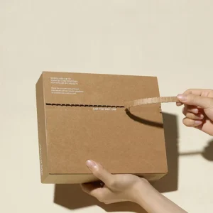 Custom Corrugated Carton Box