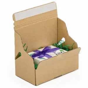 Custom Corrugated Carton Paper Box with Adhesive Strip