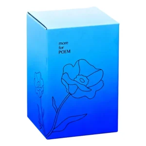 Custom Corrugated Cosmetic Packaging Box with Paper Printing
