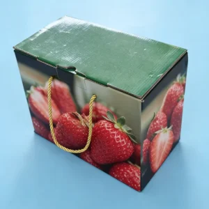 Custom Corrugated Fruit and Vegetable Storage Boxes