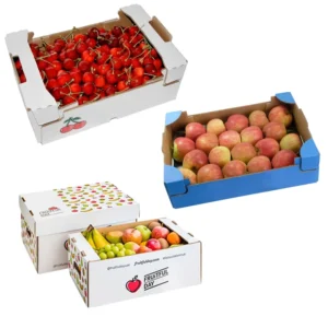 Custom Corrugated Paper Fruit Carton Box Blueberry