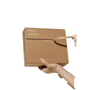 Custom Corrugated Shipping Box with Peel-Off Self-Seal Adhesive and Tear Strips for Clothing