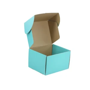 Custom Corrugated Shipping Packaging Box