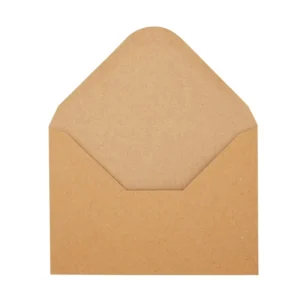 Custom Design Kraft Paper Envelope for Packaging Paper and Paperboard Printing Product
