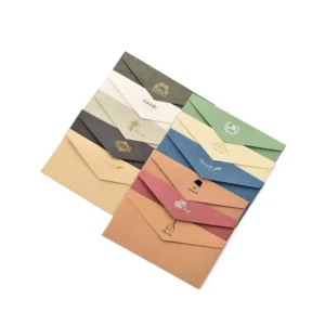 Custom Design Kraft Paper Packaging Envelope
