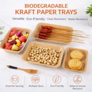 Custom Disposable Kraft Paper Food Container and Leak-Proof Tray for Parties