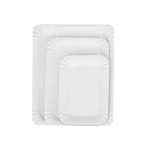 Custom Disposable Rectangular Paper Plate and Cake Tray