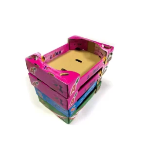 Custom Dry Fruit Cardboard Packing Box for Vegetables and Fruit