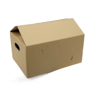 Custom Durable Corrugated Mailer Box with Logo Printing for E-commerce Packaging and Delivery
