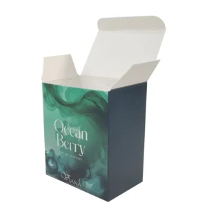 Custom Eco-Friendly Kraft Paper Skincare and Cosmetic Packaging Box with Full Printing