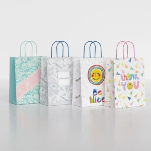 Custom Eco-Friendly Premium Feel Coated Paper Disposable Fast Food Takeaway Burger Packaging Recyclable Handle Paper Bag