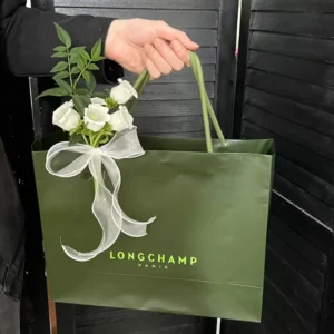 Custom Embossed Logo Matte Paper Shopping Gift Bag for Retail