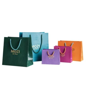 Custom Embossed Pink and White Card Paper Jewelry Bags with 3-Ply PP Handles, Hot Stamping, Offset Printing