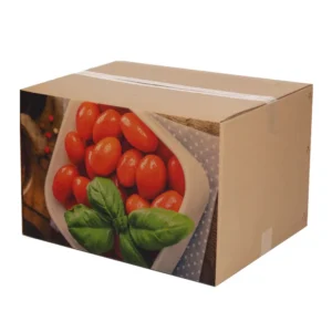 Aangepaste Extra Sterke Golfkartonnen Verzenddozen voor Appels, Peren en Citrus