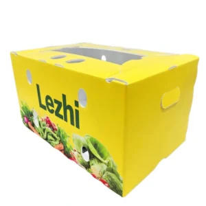 Custom Factory Cardboard Carton Fruit and Vegetable Packaging Box with Carry Hole