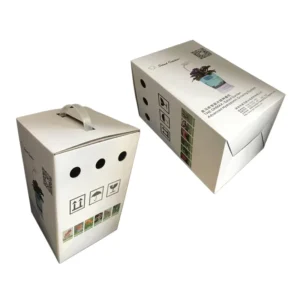Custom Folding Corrugated Cardboard Paper Carton Box with Handle