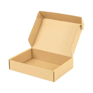 Custom Folding Printed Paper Display Box, Corrugated Carton Box, Airplane Case