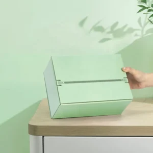 Custom Gift Corrugated Cardboard Tear-Strip Printed Self-Sealing Mailer Shipping Boxes