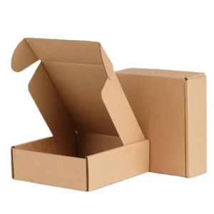 Custom Kraft Corrugated Cardboard Gift Carton Box