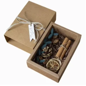 Custom Kraft Paper Gift Packaging Box