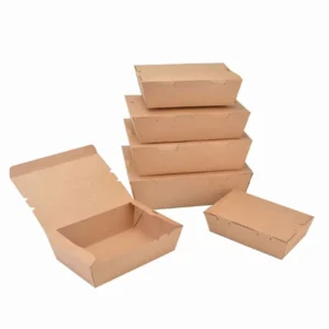 Custom Kraft Paper Lunch Takeaway Salad Box