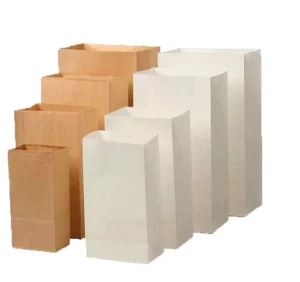 Custom Kraft Paper Takeaway Bag for Restaurant Fast Food Packaging