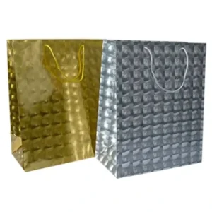 Custom Logo Art Paper Gift Bag