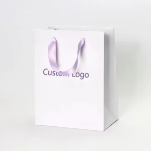 Custom Logo Biodegradable White Card Paper Bag With Twisted Rope Handle For Pizza, Salad, and Fast Food Takeout