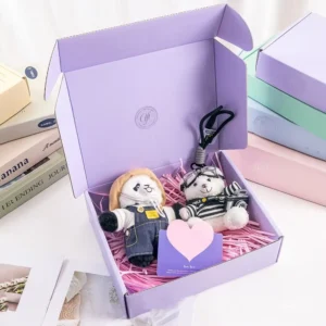 Custom Logo Brown Corrugated Airplane-Shaped Mailer Gift Box with Recycled Materials and Four-Color Printing