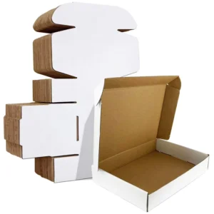 Custom Logo Color-Printed Corrugated Cardboard Mailer Shipping Box