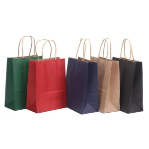 Custom Logo Colored Kraft Paper Takeaway Shopping Gift Bag with Twist Handle