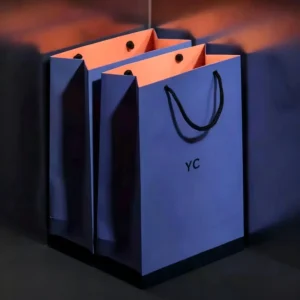 Custom Logo Double-Sided Printed Gift Paper Shopping Bag with Handle