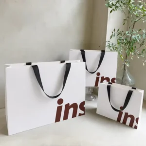 Custom Logo Eco-Friendly Rigid Cardboard Paper Bag With Ribbon Handle, Custom Color And Size