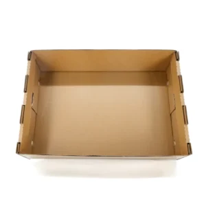 Custom Logo Full Printed Fruit Corrugated Box Carton