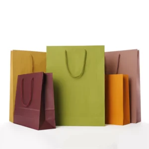Custom Logo Gift Shopping Paper Bag for Clothing Packaging