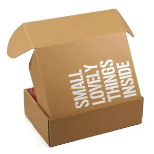 Custom Logo Kraft Paper Gift and Mailer Shipping Boxes