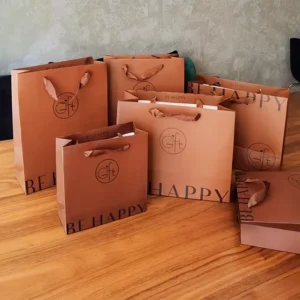 Custom Logo Paper Shopping Bag with Ribbon Handle for Gift Packaging and Events